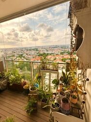 Seaside Residences (D15), Apartment #555455871